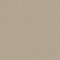 Silken Serenity carpet in Stucco – in stock at Carpet World London, Chingford